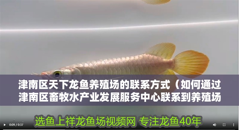 津南區天下龍魚養殖場的聯系方式（如何通過津南區畜牧水產業發展服務中心聯系到養殖場？）