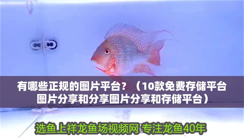 有哪些正規的圖片平臺？（10款免費存儲平臺圖片分享和分享圖片分享和存儲平臺）