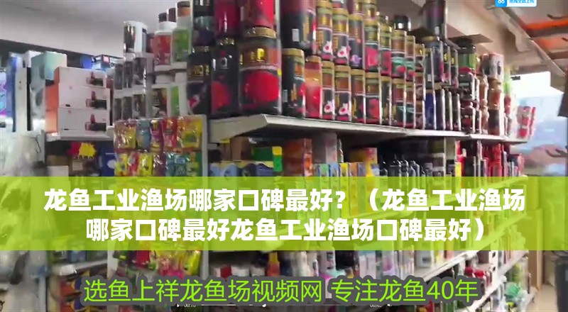 龍魚工業漁場哪家口碑最好？（龍魚工業漁場哪家口碑最好龍魚工業漁場口碑最好）