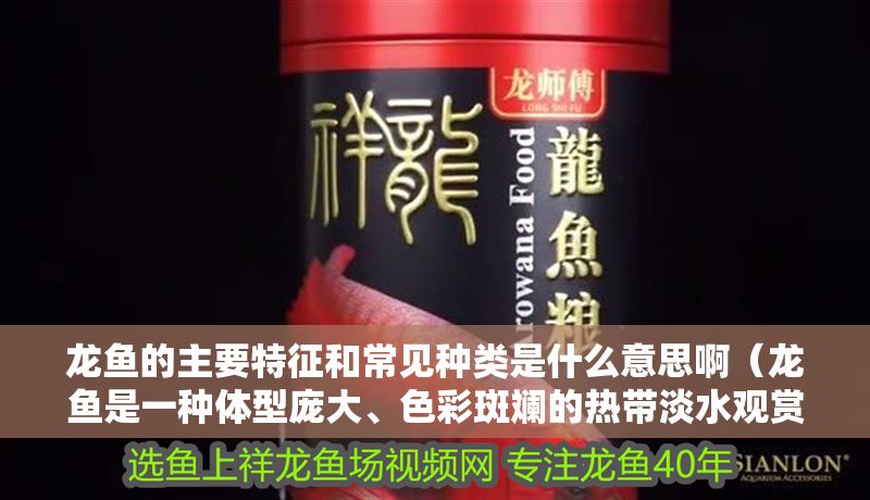 龍魚(yú)的主要特征和常見(jiàn)種類(lèi)是什么意思啊（龍魚(yú)是一種體型龐大、色彩斑斕的熱帶淡水觀賞魚(yú)其主要特征）