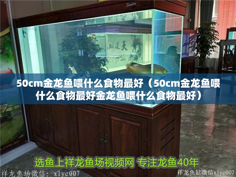 50cm金龍魚喂什么食物最好（50cm金龍魚喂什么食物最好金龍魚喂什么食物最好）