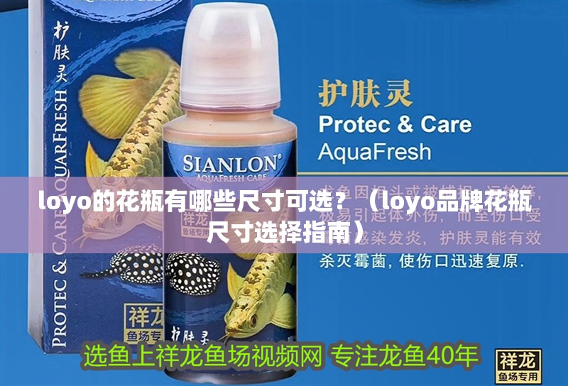 loyo的花瓶有哪些尺寸可選？（loyo品牌花瓶尺寸選擇指南）