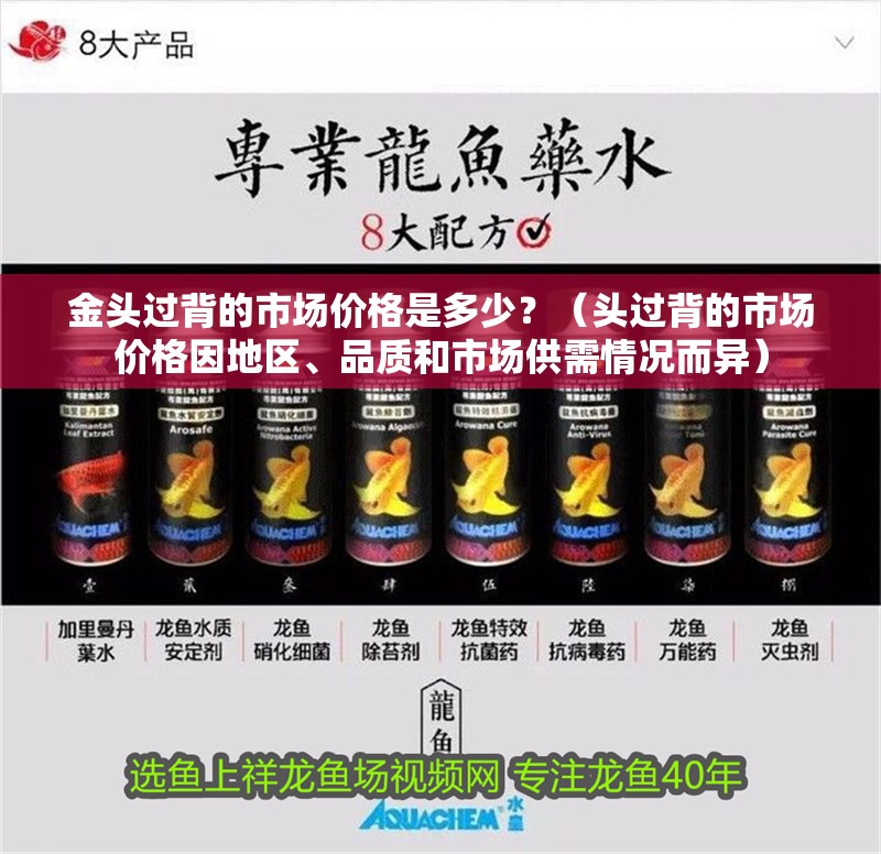 金頭過(guò)背的市場(chǎng)價(jià)格是多少？（頭過(guò)背的市場(chǎng)價(jià)格因地區(qū)、品質(zhì)和市場(chǎng)供需情況而異）