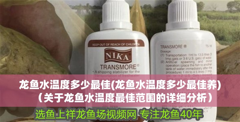 龍魚水溫度多少最佳(龍魚水溫度多少最佳養(yǎng))（關(guān)于龍魚水溫度最佳范圍的詳細(xì)分析） 龍魚水溫度多少最佳(龍魚水溫度多少最佳養(yǎng))（關(guān)于龍魚水溫度最佳范圍的詳細(xì)分析） 觀賞魚百科