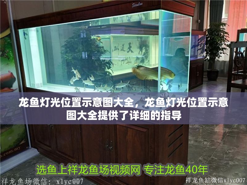 龍魚燈光位置示意圖大全，龍魚燈光位置示意圖大全提供了詳細的指導