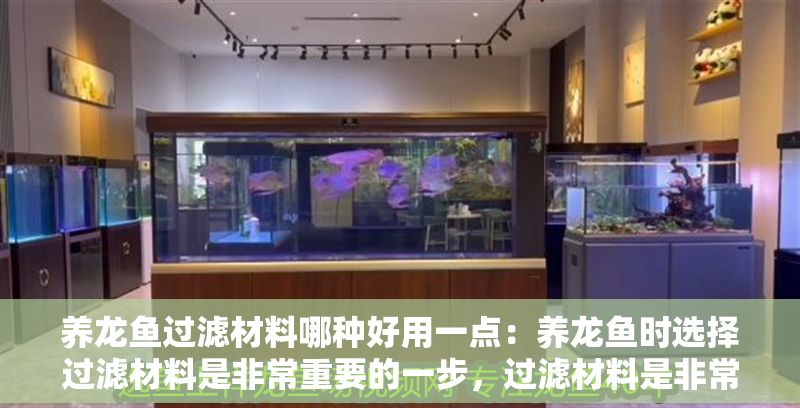 養龍魚過濾材料哪種好用一點：養龍魚時選擇過濾材料是非常重要的一步，過濾材料是非常重要的一步