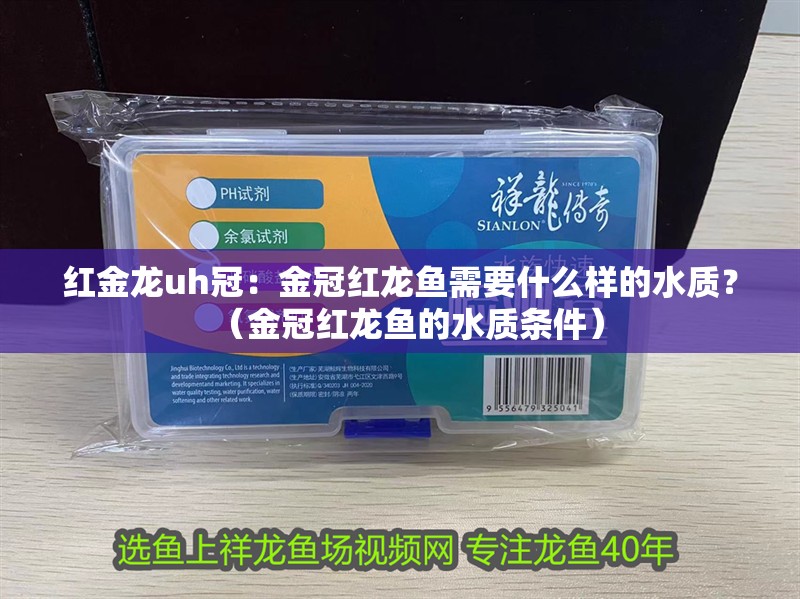 紅金龍uh冠：金冠紅龍魚需要什么樣的水質？（金冠紅龍魚的水質條件）