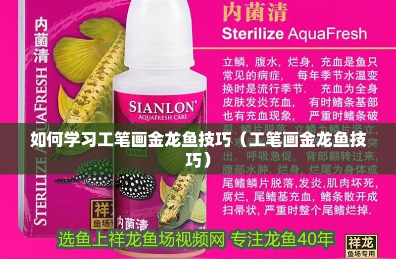 如何學習工筆畫金龍魚技巧（工筆畫金龍魚技巧） 如何學習工筆畫金龍魚技巧（工筆畫金龍魚技巧） 龍魚百科