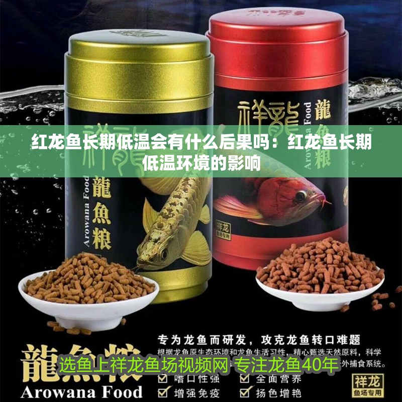 紅龍魚長期低溫會(huì)有什么后果嗎：紅龍魚長期低溫環(huán)境的影響