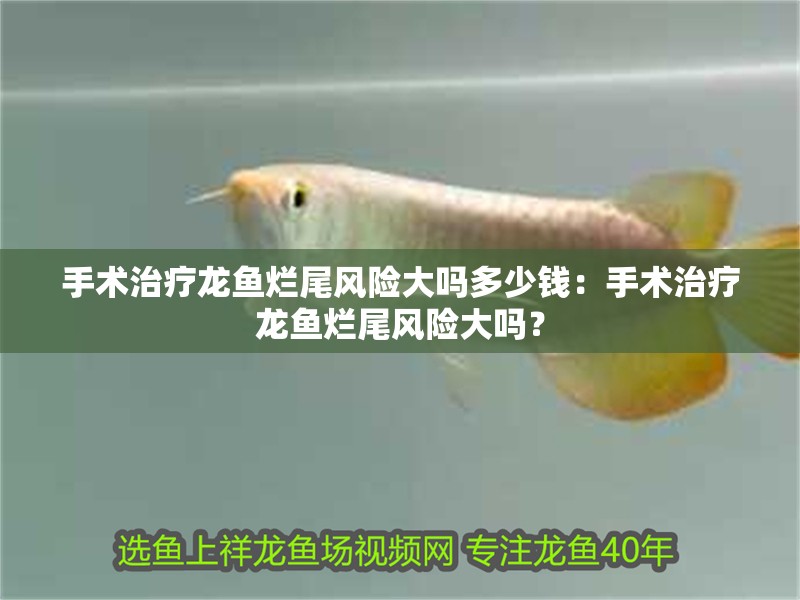 手術治療龍魚爛尾風險大嗎多少錢：手術治療龍魚爛尾風險大嗎？