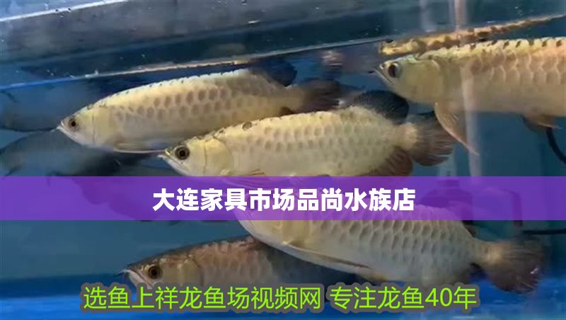 大連家具市場品尚水族店