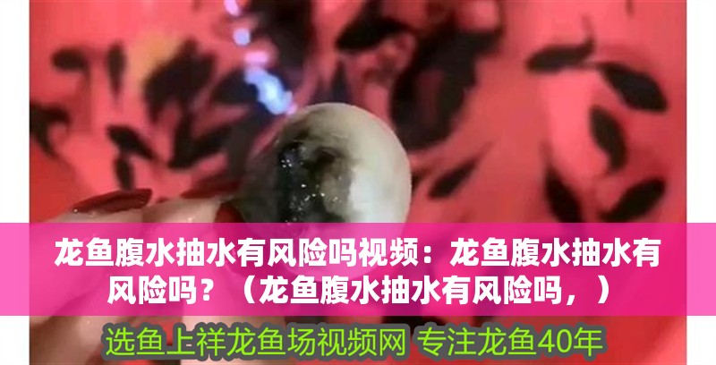 龍魚腹水抽水有風險嗎視頻：龍魚腹水抽水有風險嗎？（龍魚腹水抽水有風險嗎，）