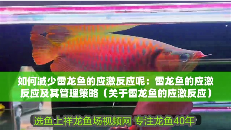如何減少雷龍魚的應激反應呢：雷龍魚的應激反應及其管理策略（關于雷龍魚的應激反應）