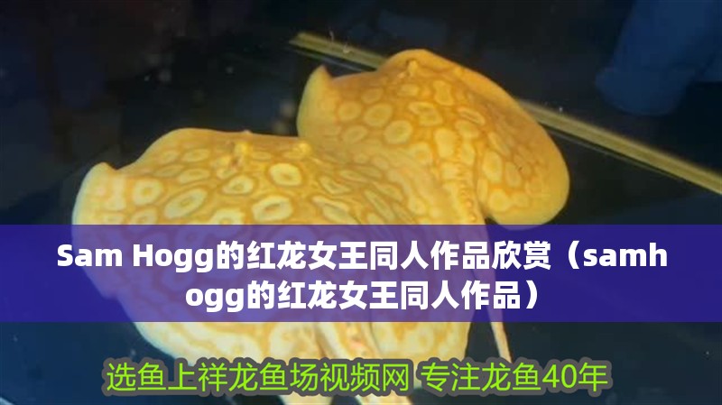 Sam Hogg的紅龍女王同人作品欣賞（samhogg的紅龍女王同人作品）