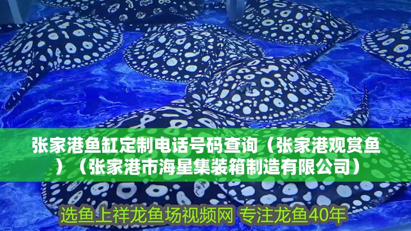 魚缸用增氧泵價格是多少:魚缸增氧機-xtrac增氧機-xtrac增氧機 張家港魚缸定制電話號碼查詢(張家港觀賞魚)(張家港市海星集裝箱制造有限公司) 觀賞魚百科 張家港魚缸定制電話號碼查詢(張家港觀賞魚)(張家港市海星集裝箱制造有限公司) 張家港魚缸定制電話號碼查詢(張家港觀賞魚)(張家港市海星集裝箱制造有限公司) 觀賞魚百科