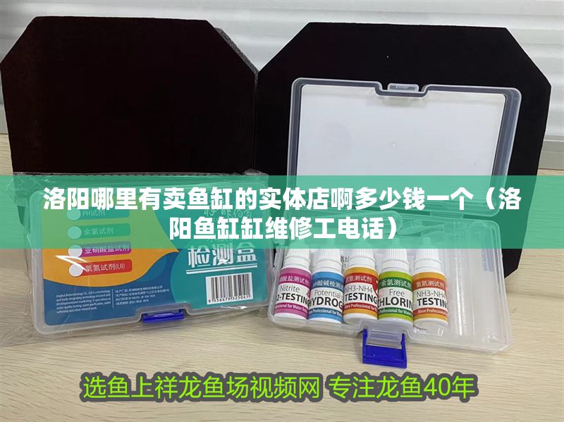 洛陽哪里有賣魚缸的實體店啊多少錢一個（洛陽魚缸缸維修工電話）
