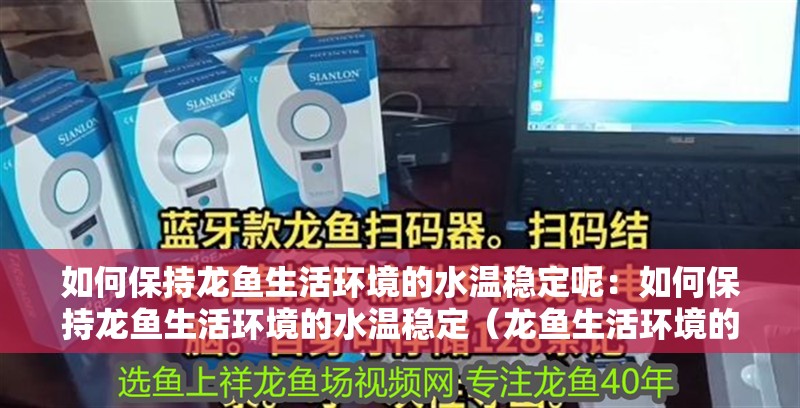 如何保持龍魚生活環境的水溫穩定呢：如何保持龍魚生活環境的水溫穩定（龍魚生活環境的水溫穩定對于龍魚的健康和生活環境的影響）
