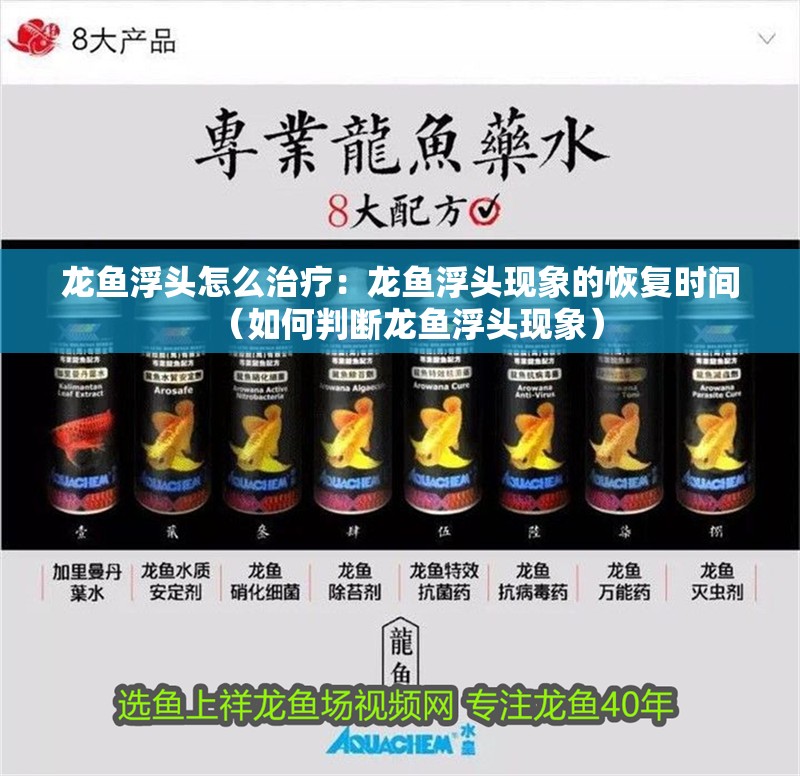 龍魚浮頭怎么治療：龍魚浮頭現(xiàn)象的恢復時間（如何判斷龍魚浮頭現(xiàn)象）