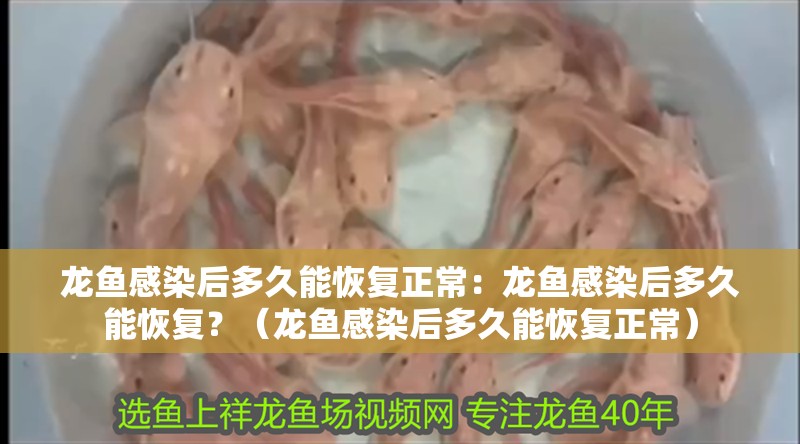 龍魚感染后多久能恢復正常：龍魚感染后多久能恢復？（龍魚感染后多久能恢復正常）