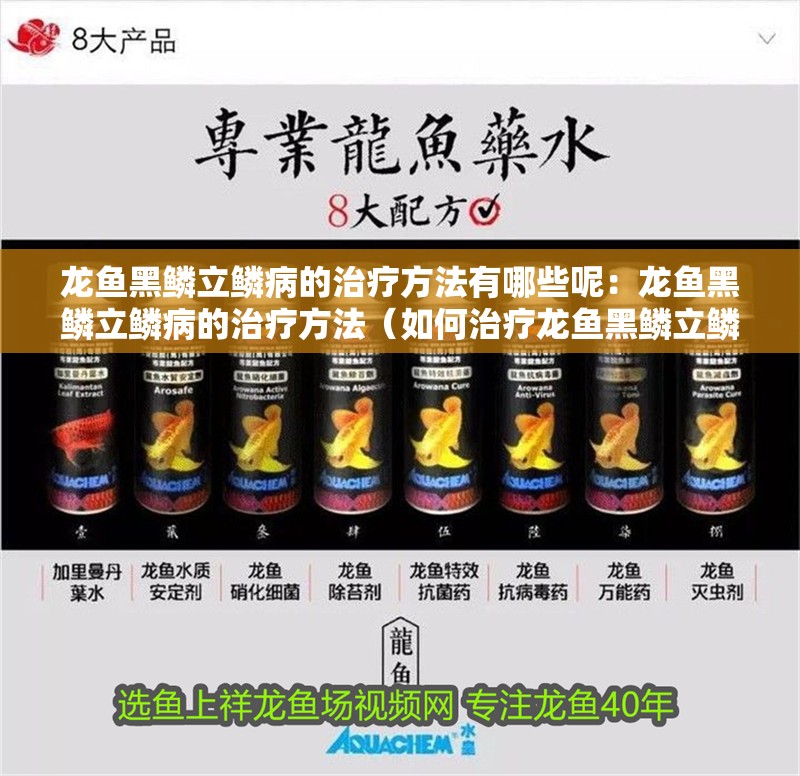 龍魚黑鱗立鱗病的治療方法有哪些呢：龍魚黑鱗立鱗病的治療方法（如何治療龍魚黑鱗立鱗病）