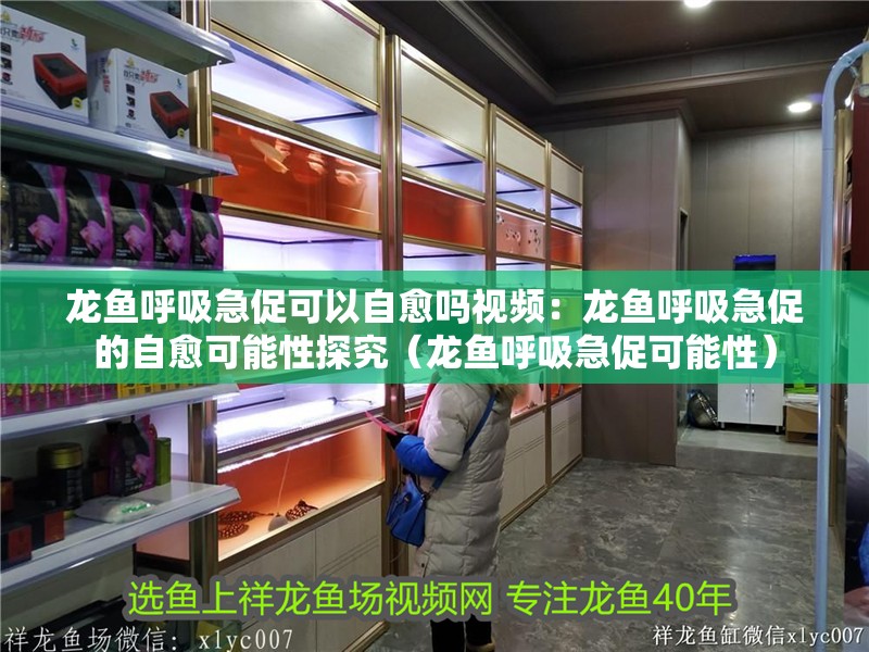 龍魚呼吸急促可以自愈嗎視頻：龍魚呼吸急促的自愈可能性探究（龍魚呼吸急促可能性）