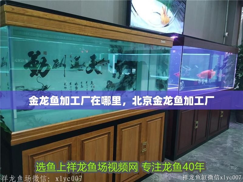 金龍魚加工廠在哪里，北京金龍魚加工廠