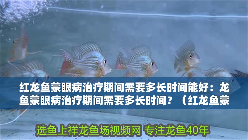 紅龍魚蒙眼病治療期間需要多長時間能好：龍魚蒙眼病治療期間需要多長時間？（紅龍魚蒙眼病治療時間和注意事項）