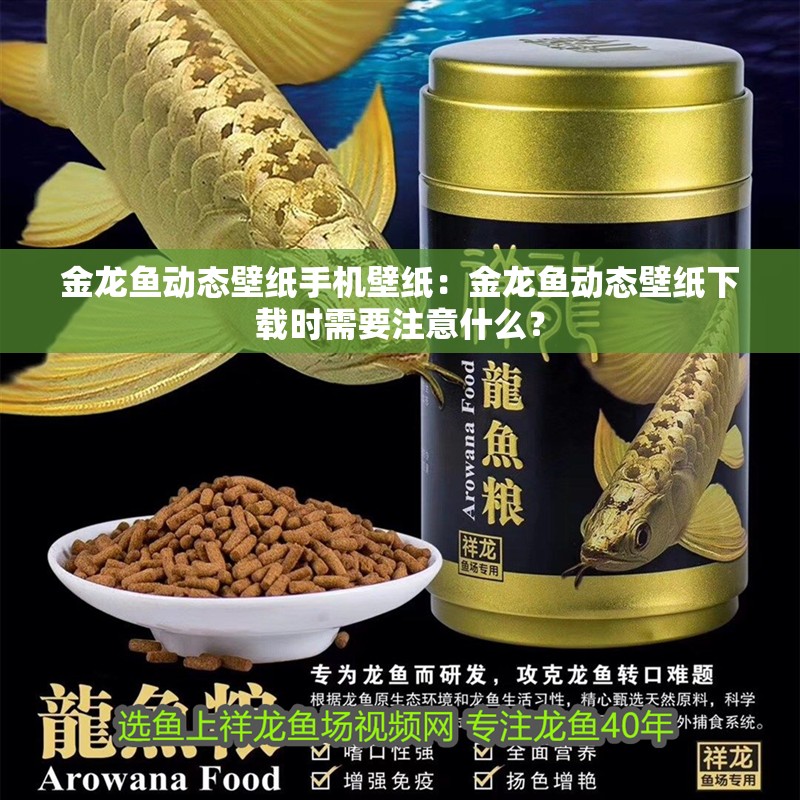 金龍魚動態(tài)壁紙手機壁紙：金龍魚動態(tài)壁紙下載時需要注意什么？