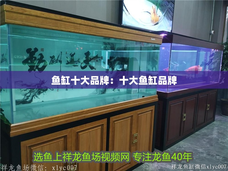 魚缸十大品牌：十大魚缸品牌