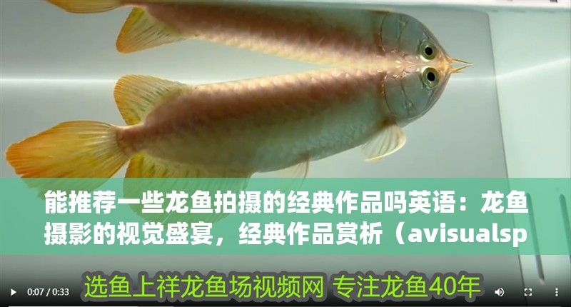 能推薦一些龍魚(yú)拍攝的經(jīng)典作品嗎英語(yǔ)：龍魚(yú)攝影的視覺(jué)盛宴，經(jīng)典作品賞析（avisualspectacleofdragonfishphotography） 能推薦一些龍魚(yú)拍攝的經(jīng)典作品嗎英語(yǔ)：龍魚(yú)攝影的視覺(jué)盛宴，經(jīng)典作品賞析（avisualspectacleofdragonfishphotography） 水族問(wèn)答