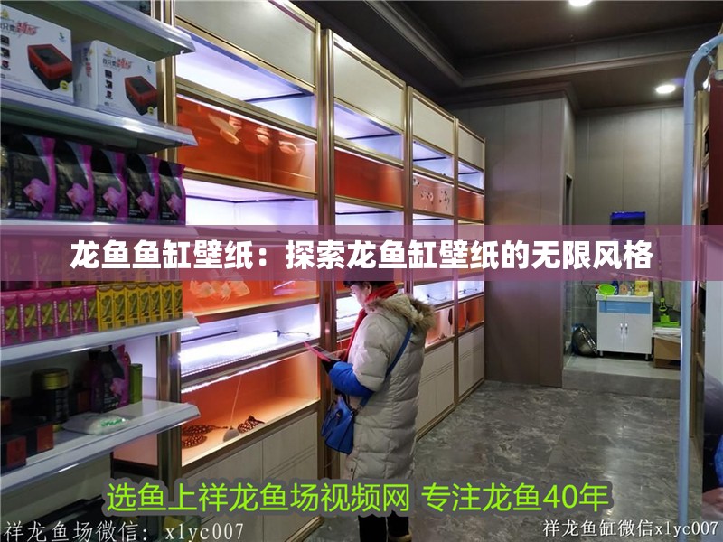 龍魚魚缸壁紙：探索龍魚缸壁紙的無限風格