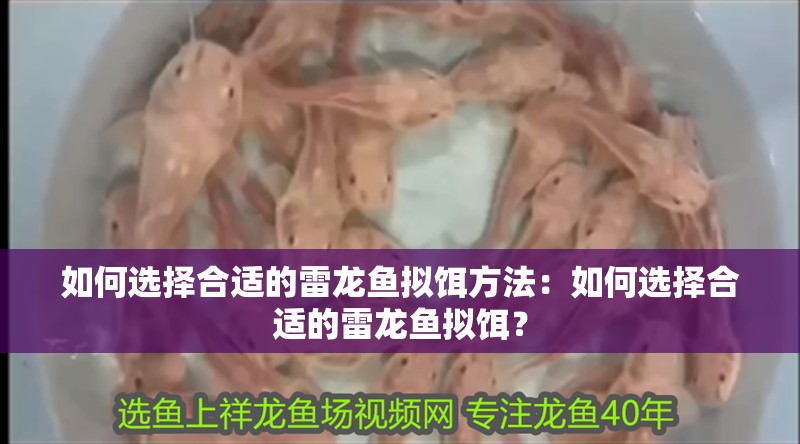 如何選擇合適的雷龍魚擬餌方法：如何選擇合適的雷龍魚擬餌？