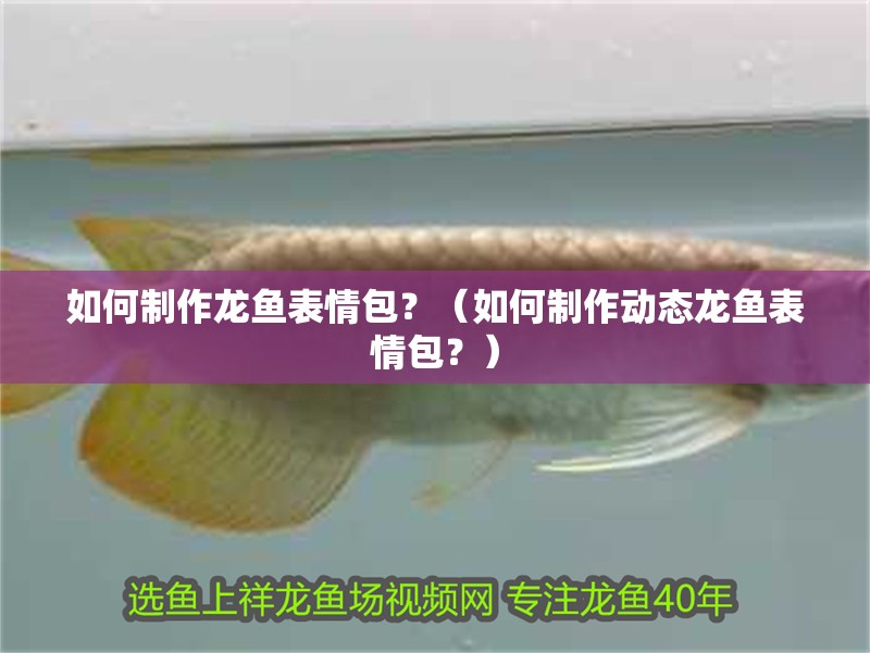 魚缸用增氧泵價格是多少:魚缸增氧機(jī)-xtrac增氧機(jī)-xtrac增氧機(jī) 如何制作龍魚表情包?(如何制作動態(tài)龍魚表情包?) 龍魚百科 如何制作龍魚表情包?(如何制作動態(tài)龍魚表情包?) 如何制作龍魚表情包?(如何制作動態(tài)龍魚表情包?) 龍魚百科