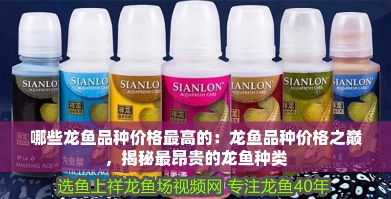 哪些龍魚(yú)品種價(jià)格最高的：龍魚(yú)品種價(jià)格之巔，揭秘最昂貴的龍魚(yú)種類(lèi)