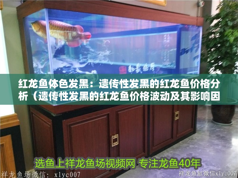 紅龍魚體色發黑：遺傳性發黑的紅龍魚價格分析（遺傳性發黑的紅龍魚價格波動及其影響因素及價格波動）