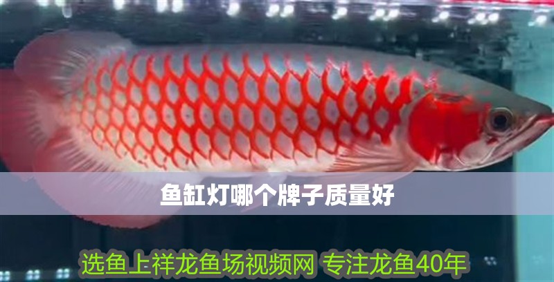 魚(yú)缸燈哪個(gè)牌子質(zhì)量好