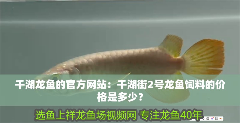 千湖龍魚的官方網站：千湖街2號龍魚飼料的價格是多少？