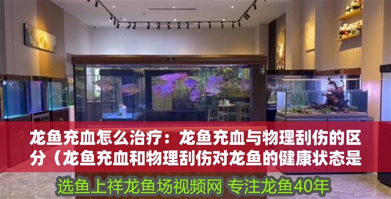 龍魚充血怎么治療：龍魚充血與物理刮傷的區分（龍魚充血和物理刮傷對龍魚的健康狀態是至關重要的）