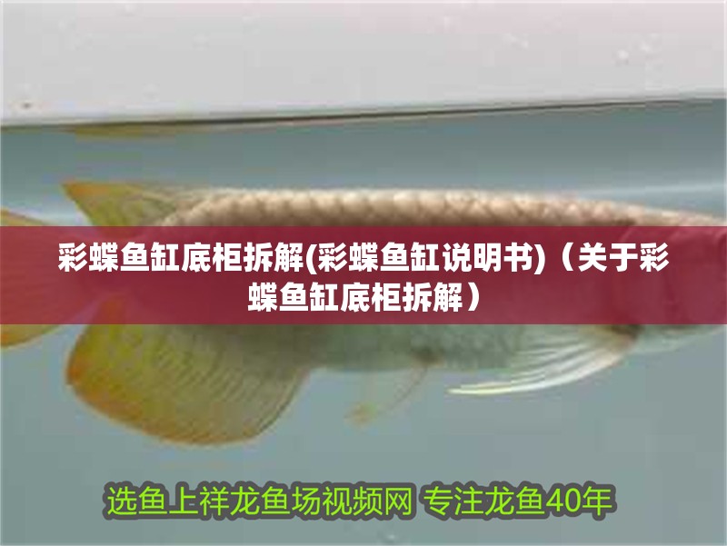 彩蝶魚缸底柜拆解(彩蝶魚缸說明書)（關于彩蝶魚缸底柜拆解）