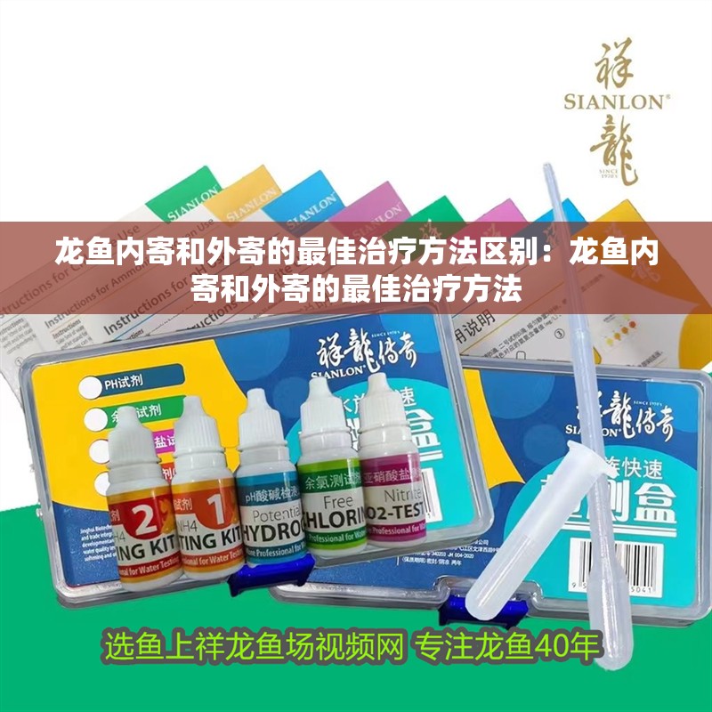 龍魚內寄和外寄的最佳治療方法區別：龍魚內寄和外寄的最佳治療方法