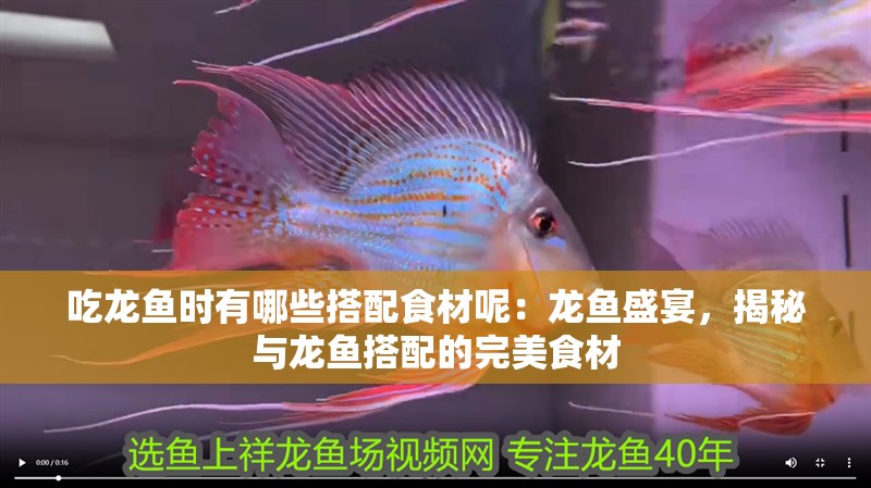 吃龍魚時有哪些搭配食材呢：龍魚盛宴，揭秘與龍魚搭配的完美食材