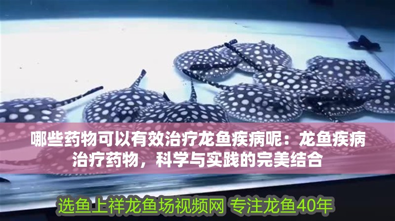 哪些藥物可以有效治療龍魚疾病呢：龍魚疾病治療藥物，科學與實踐的完美結合