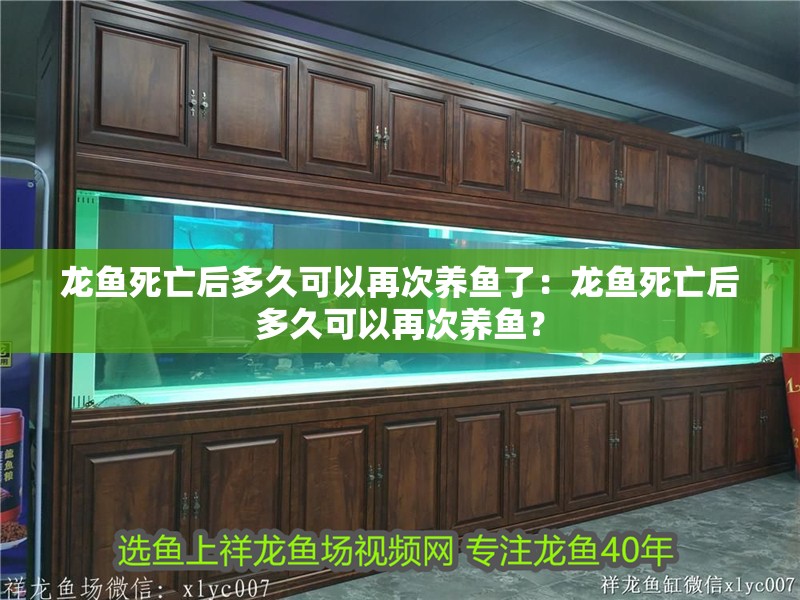 龍魚死亡后多久可以再次養魚了：龍魚死亡后多久可以再次養魚？