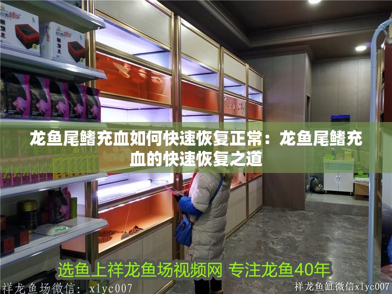 龍魚(yú)尾鰭充血如何快速恢復(fù)正常：龍魚(yú)尾鰭充血的快速恢復(fù)之道