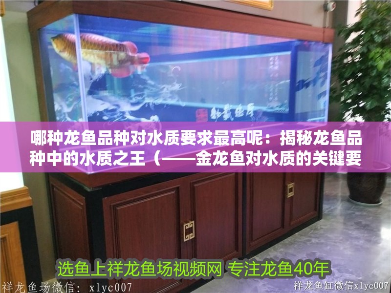 哪種龍魚品種對水質要求最高呢：揭秘龍魚品種中的水質之王（——金龍魚對水質的關鍵要求）