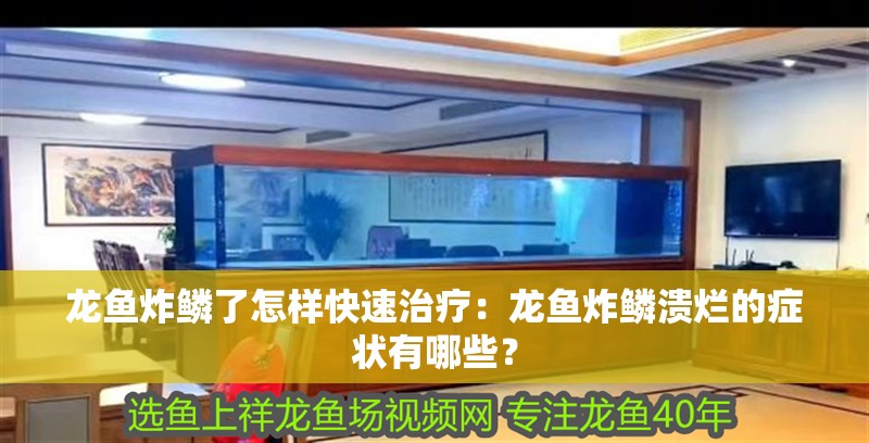 龍魚炸鱗了怎樣快速治療：龍魚炸鱗潰爛的癥狀有哪些？