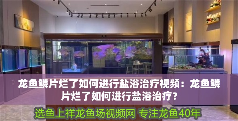 龍魚鱗片爛了如何進(jìn)行鹽浴治療視頻：龍魚鱗片爛了如何進(jìn)行鹽浴治療？