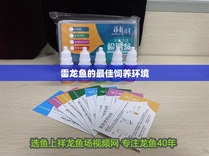 雷龍魚的最佳飼養環境