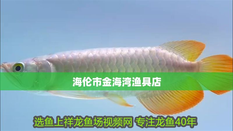 海倫市金海灣漁具店 全國水族館企業名錄 第1張 海倫市金海灣漁具店 海倫市金海灣漁具店 全國水族館企業名錄 第1張