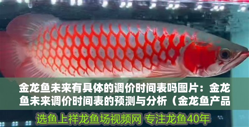 金龍魚未來有具體的調價時間表嗎圖片：金龍魚未來調價時間表的預測與分析（金龍魚產品價格的影響）